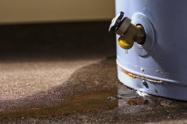 Best Water damage cleanup near me  in Burnt Store Marina, FL