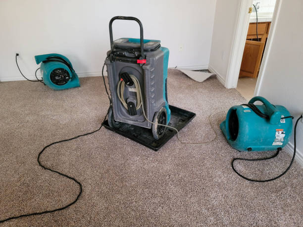 Best Flooded house restoration  in Burnt Store Marina, FL