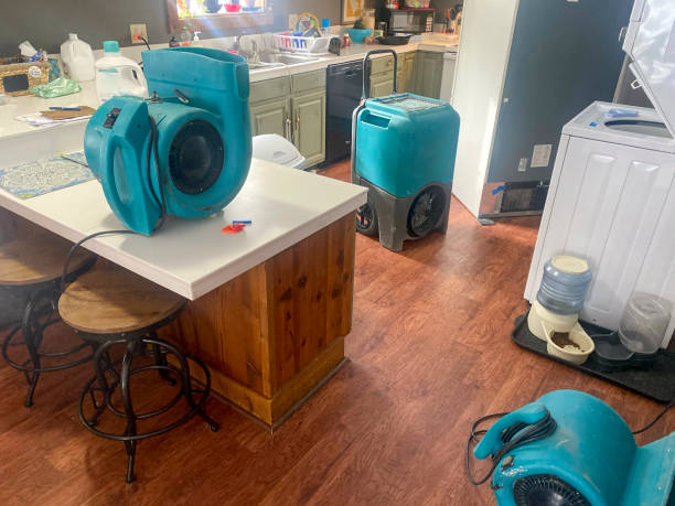 Sewage cleanup and water damage restoration in FL