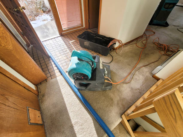 Best Flood restoration services  in Burnt Store Marina, FL