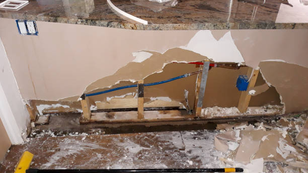 Best Sewage cleanup and water damage restoration  in Burnt Store Marina, FL