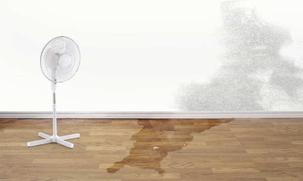 Best Water damage restoration near me  in Burnt Store Marina, FL