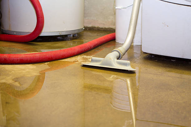 Best Basement water damage restoration  in Burnt Store Marina, FL