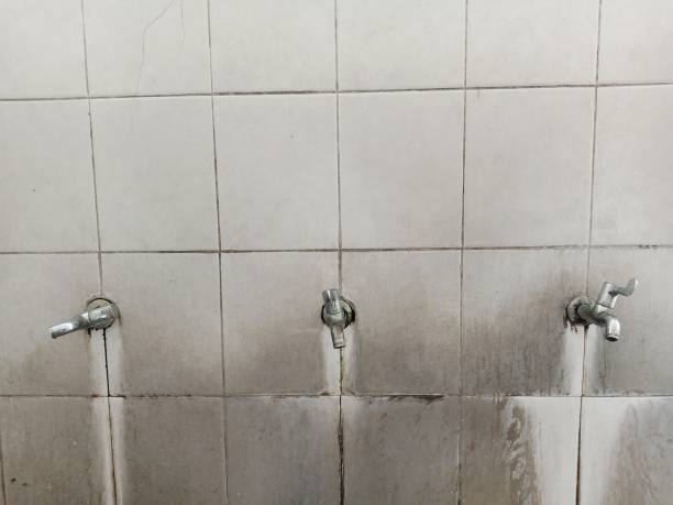 Best Water damage contractors near me  in Burnt Store Marina, FL