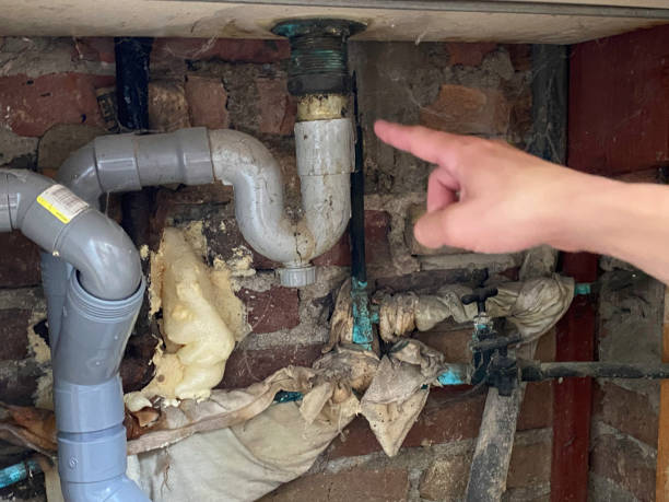 Best Flood damage cleanup  in Burnt Store Marina, FL