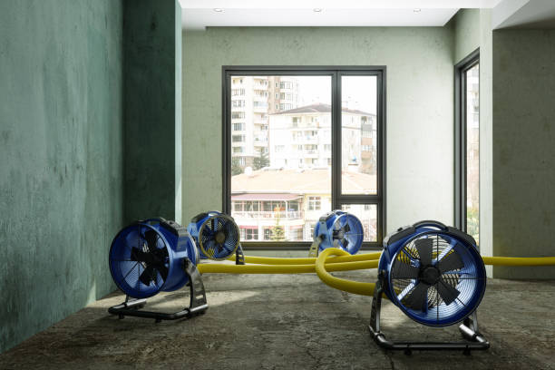 Best Professional water damage repair  in Burnt Store Marina, FL
